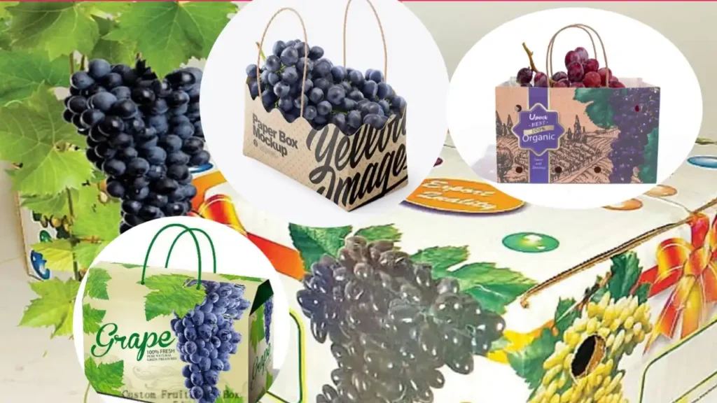 द्राक्ष पॅकेजिंग व्यवसाय सुरू करण्यासाठी मार्गदर्शन