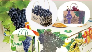 द्राक्ष पॅकेजिंग व्यवसाय सुरू करण्यासाठी मार्गदर्शन