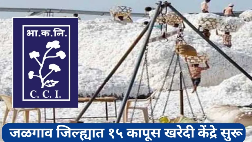 Cotton MSP Procurement; जळगाव जिल्ह्यात १५ सीसीआय खरेदी केंद्रे सुरू