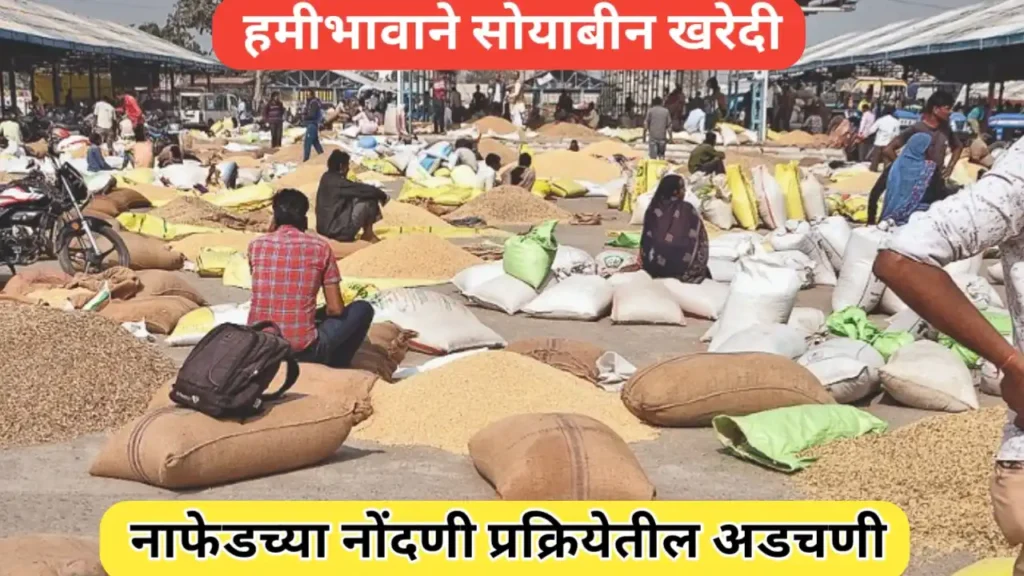हमीभावाने सोयाबीन खरेदीसाठी नाफेडच्या नोंदणी प्रक्रियेतील अडचणी