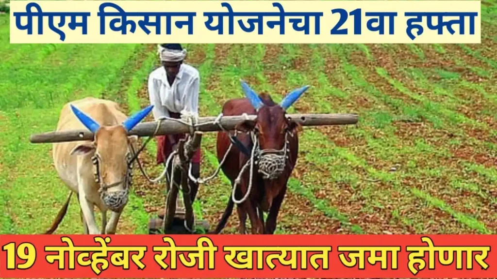 पीएम किसान योजनेचा हफ्ता १९ नोव्हेंबर रोजी मिळणार: शेतकऱ्यांसाठी महत्त्वाची घोषणा