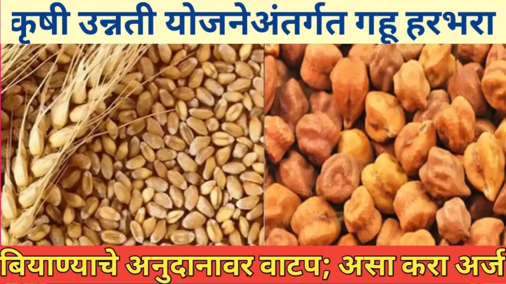 कृषी उन्नती योजनेअंतर्गत अनुदानावर बियाणे वाटप: शेतकऱ्यांसाठी संधी