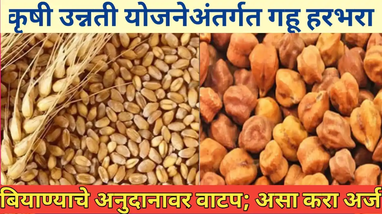 कृषी उन्नती योजनेअंतर्गत अनुदानावर बियाणे वाटप: शेतकऱ्यांसाठी संधी