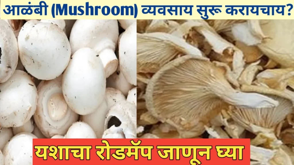 आळंबी व्यवसाय सुरू करण्यासाठी मार्गदर्शन: व्यवसायाची स्टेप बाय स्टेप माहिती