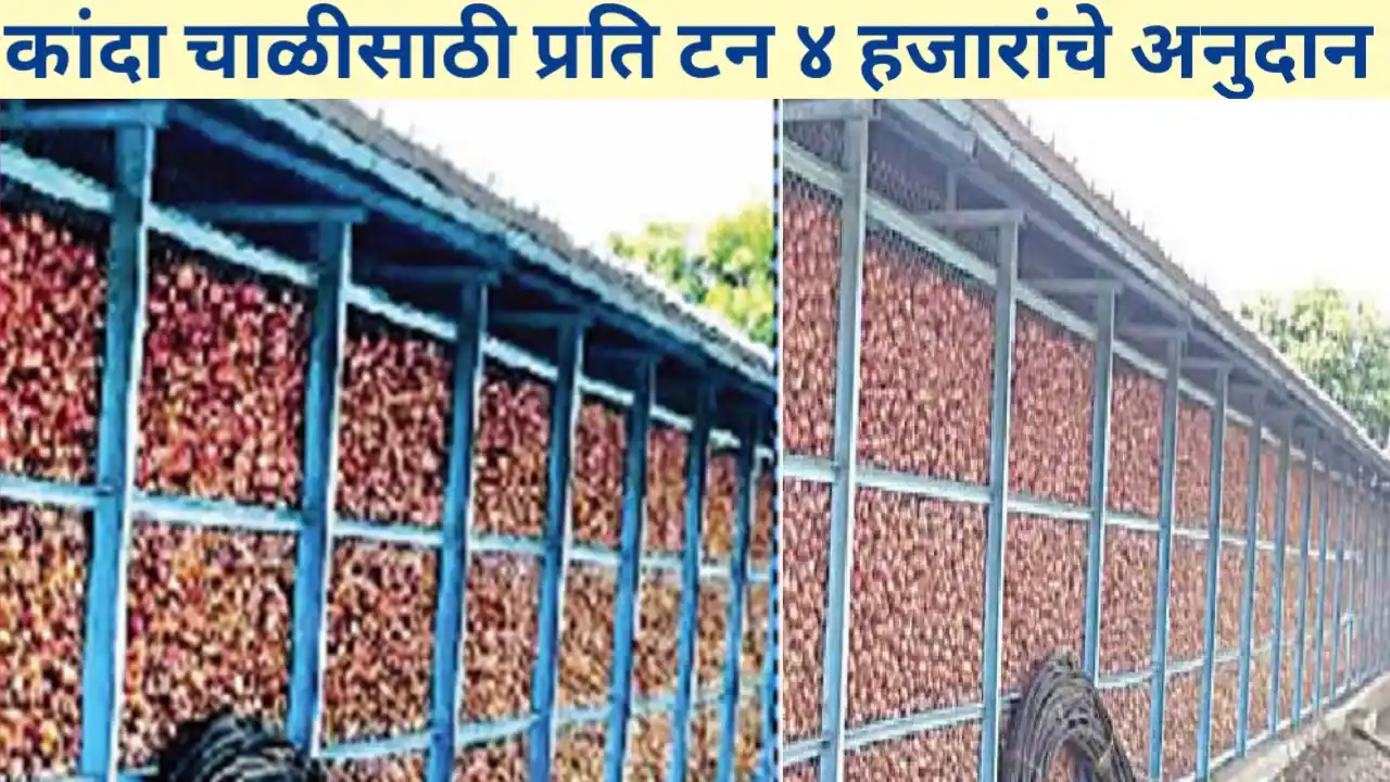 कांदा चाळीसाठी प्रति टन ४ हजाराचे अनुदान