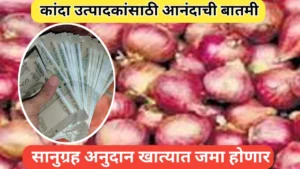 कांदा उत्पादकांसाठी सानुग्रह अनुदान बाबत आनंदाची बातमी; वाचा सविस्तर
