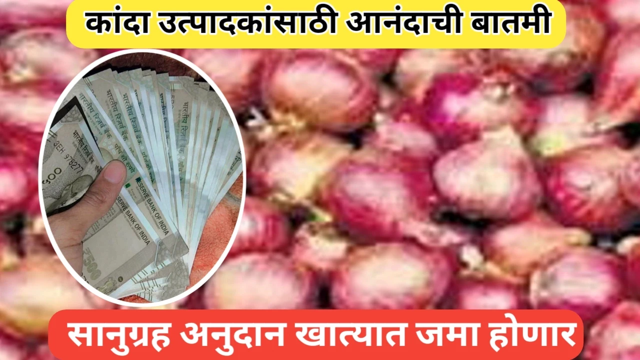 कांदा उत्पादकांसाठी सानुग्रह अनुदान बाबत आनंदाची बातमी; वाचा सविस्तर