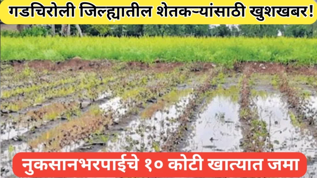गडचिरोली जिल्ह्यातील शेतकऱ्यांच्या खात्यात नुकसानभरपाईचे १० कोटी जमा