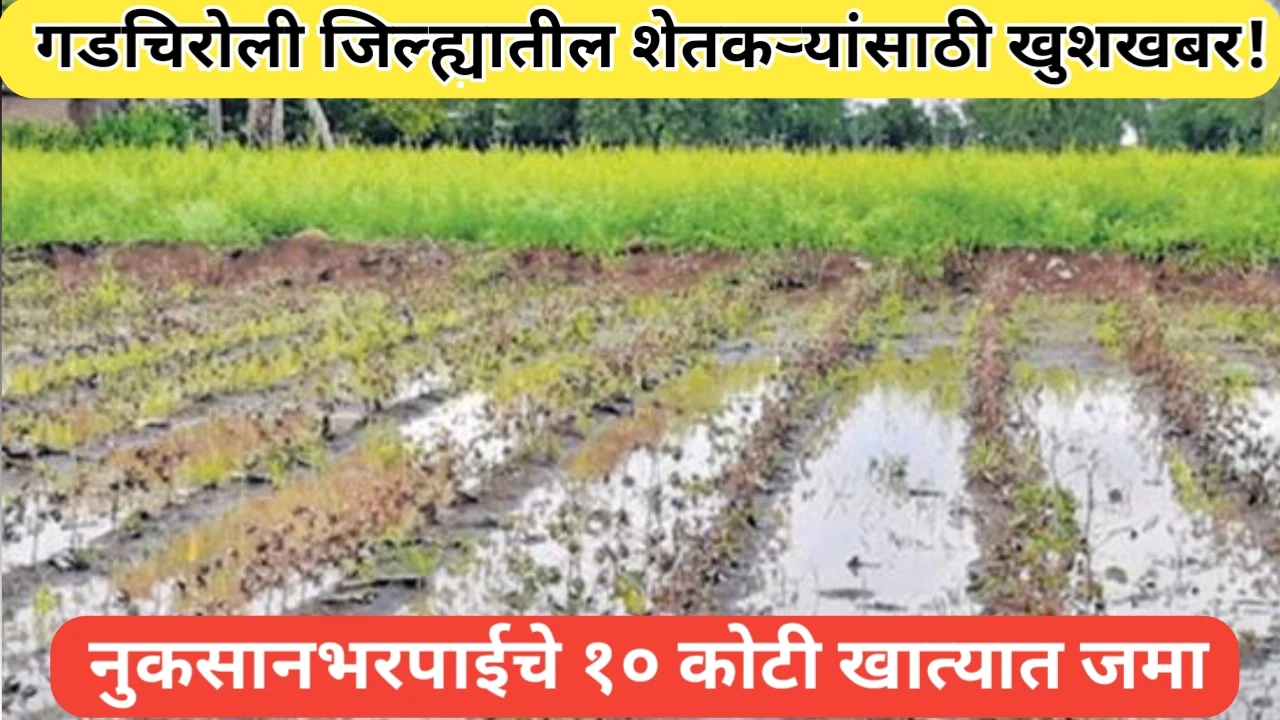 गडचिरोली जिल्ह्यातील शेतकऱ्यांच्या खात्यात नुकसानभरपाईचे १० कोटी जमा