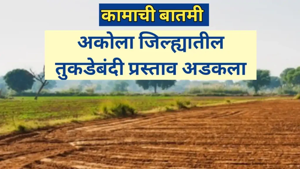 कामाची बातमी! अकोला जिल्ह्यातील तुकडेबंदी प्रस्ताव अडकला