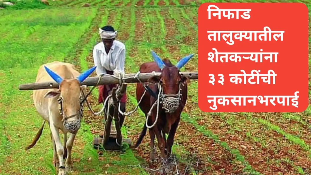 निफाड तालुक्यातील शेतकऱ्यांना ३३ कोटींची नुकसानभरपाई मंजूर