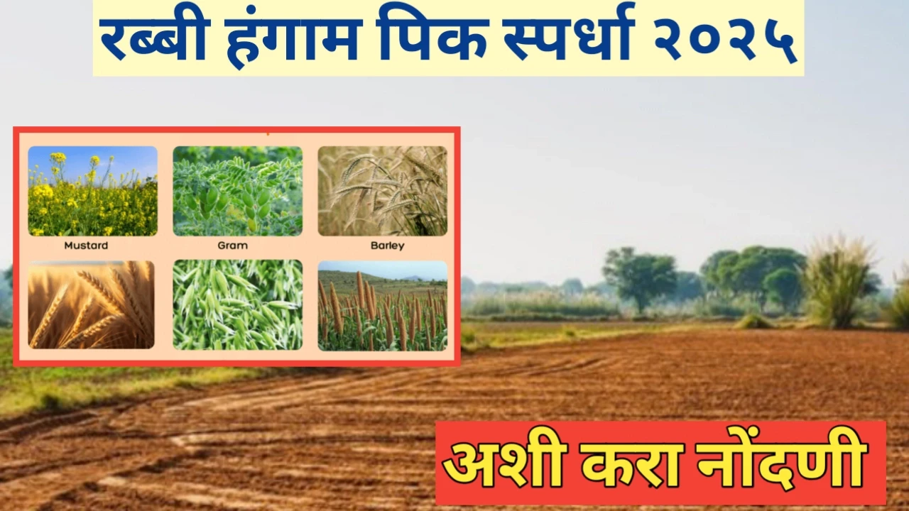 रब्बी हंगाम पिक स्पर्धा नोंदणी प्रक्रिया जाणून घ्या