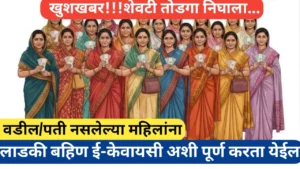 Ladaki bahin ekyc शेवटी तोडगा निघाला; निराधार लाडक्या बहिणींसाठी केवायसी उपाय