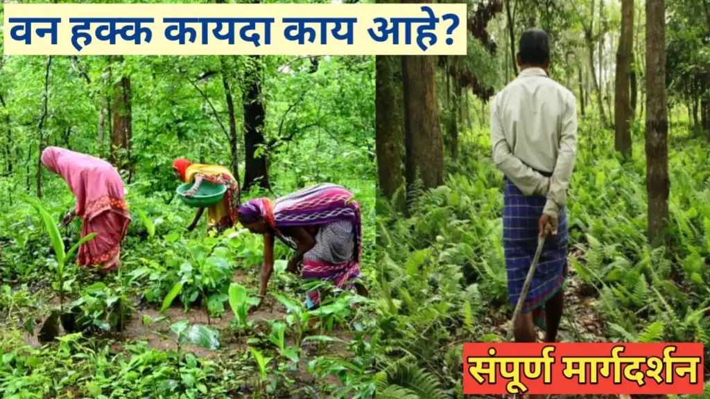भारतातील वन हक्क कायदा: आदिवासी सक्षमीकरणाचा मार्ग