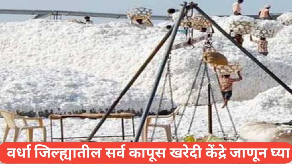 Wardha News: वर्धा जिल्ह्यात हमीभावाने कापूस खरेदी केंद्रे जाणून घ्या