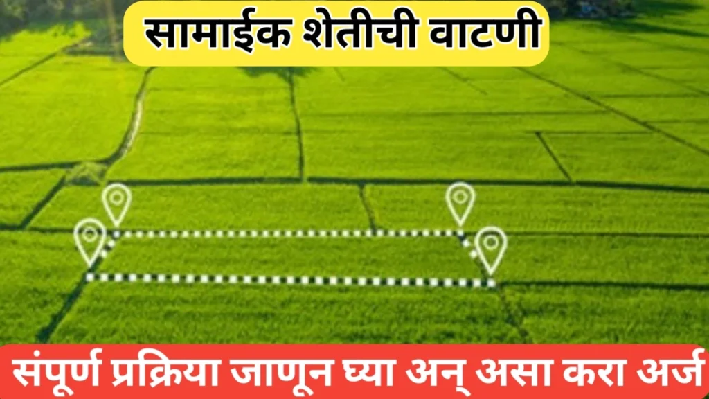 सामाईक शेतीची वाटणी प्रक्रिया; असा करा शेतीच्या वाटणीसाठी अर्ज