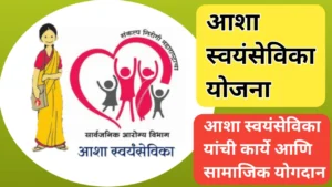 आशा स्वयंसेविका योजना; आशा स्वयंसेवकांची कार्ये आणि सामाजिक योगदान