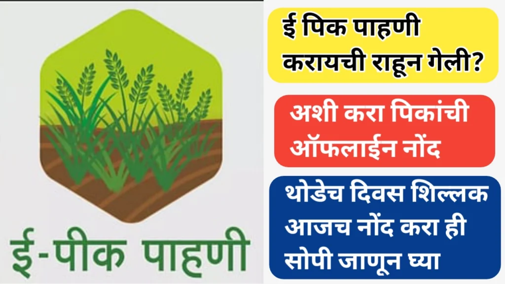 पिकांची ऑफलाइन नोंद करण्याची प्रक्रिया; ई पिक पाहणी न केलेल्यांसाठी मार्गदर्शन