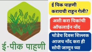 पिकांची ऑफलाइन नोंद करण्याची प्रक्रिया; ई पिक पाहणी न केलेल्यांसाठी मार्गदर्शन
