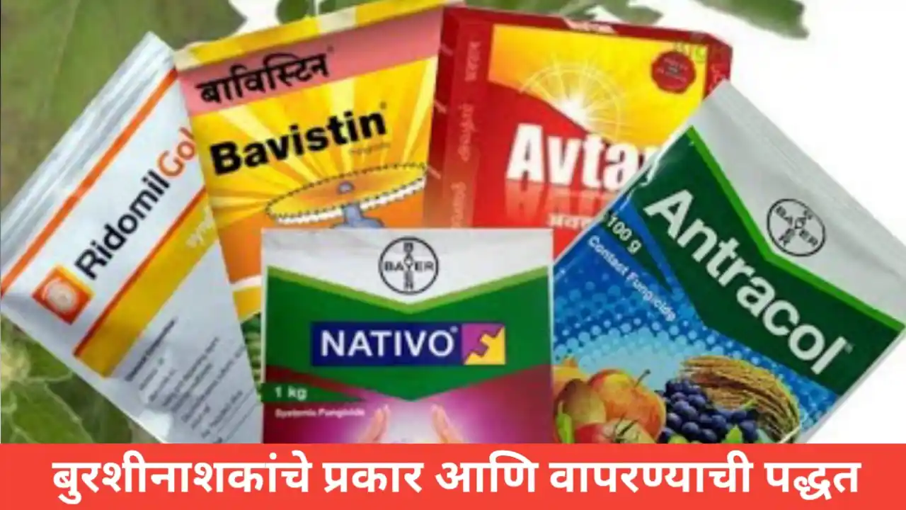 बुरशीनाशकांचे प्रकार आणि वापरण्याची योग्य पद्धत