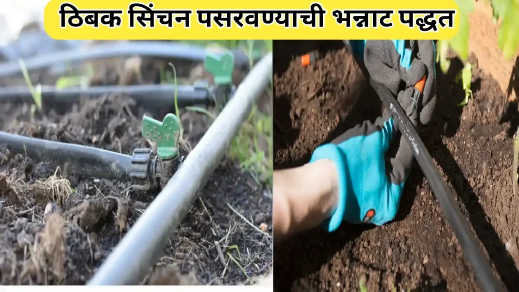 शेतात ड्रिप इरिगेशन सिस्टम कसे बसवावे : शेतकऱ्यांसाठी पूर्ण स्टेप-बाय-स्टेप मार्गदर्शक