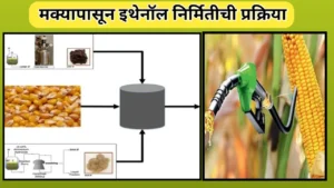 मक्यापासून इथेनॉल निर्मितीची प्रक्रिया: एक पर्यावरणस्नेही ऊर्जा स्रोत