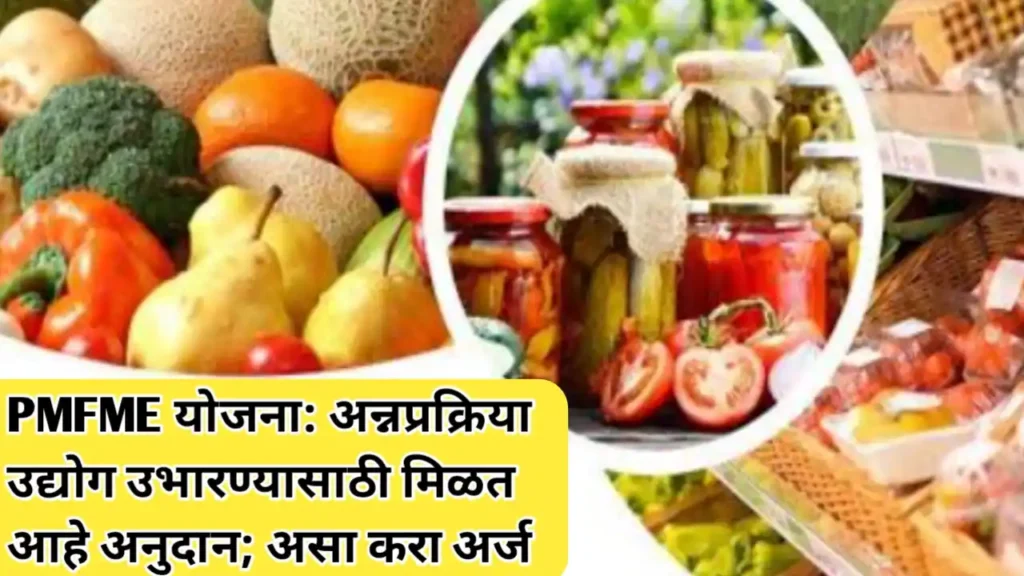 PMFME योजना: अन्नप्रक्रिया उद्योग उभारण्यासाठी अनुदान; असा करा अर्ज