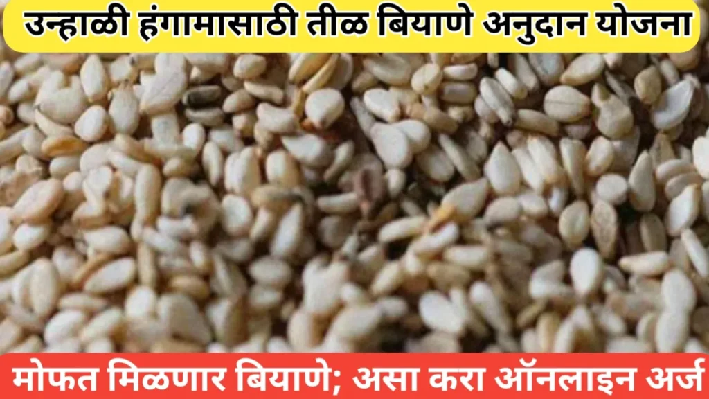 उन्हाळी हंगाम तीळ बियाणे अनुदान योजना 2025-26