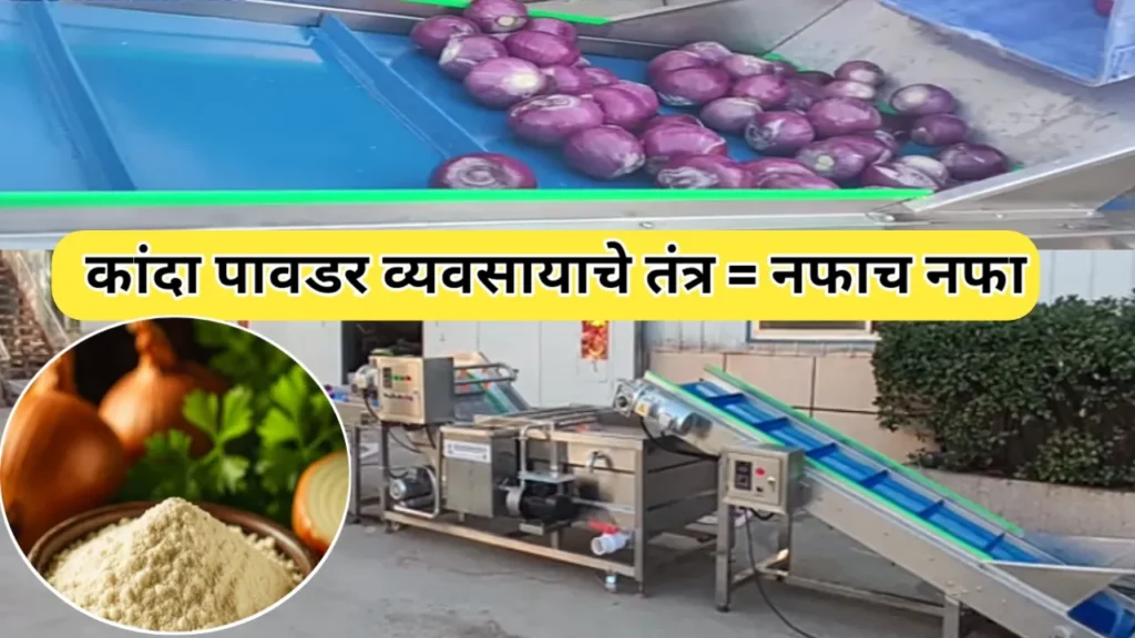 कांदा पावडर प्रक्रिया आणि व्यवसाय बाबत संपूर्ण मार्गदर्शन