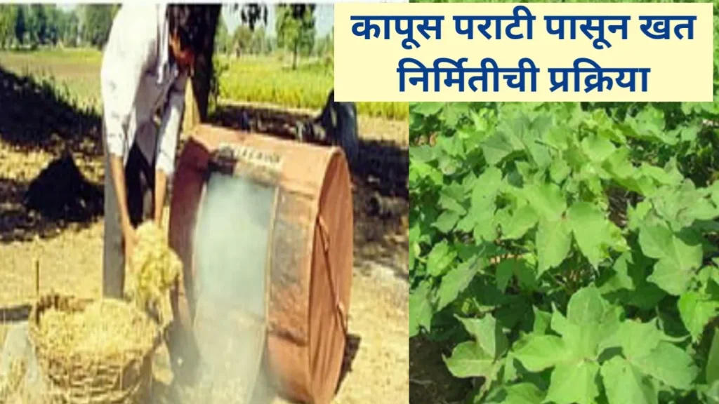 कापूस पराटी पासून खत निर्मितीची प्रक्रिया