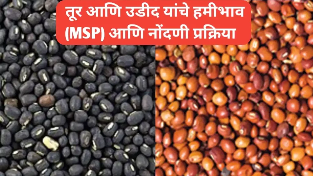 खरीप हंगाम २०२५-२६ साठी घोषित केलेल्या एमएसपी आणि इतर महत्वाची माहिती