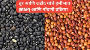 खरीप हंगाम २०२५-२६ साठी घोषित केलेल्या एमएसपी आणि इतर महत्वाची माहिती