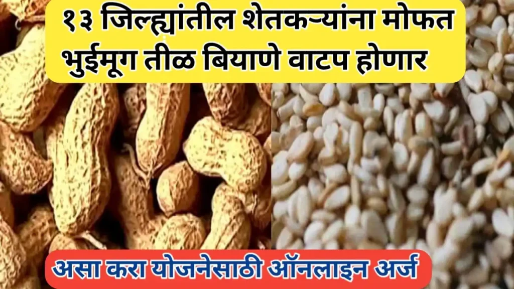 तेरा जिल्ह्यांतील शेतकऱ्यांना मोफत भुईमूग तीळ बियाणे वाटप होणार ; असा करा अर्ज