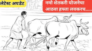 नमो शेतकरी योजनेचा आठवा हफ्ता लवकरच! जाणून घ्या लेटेस्ट अपडेट