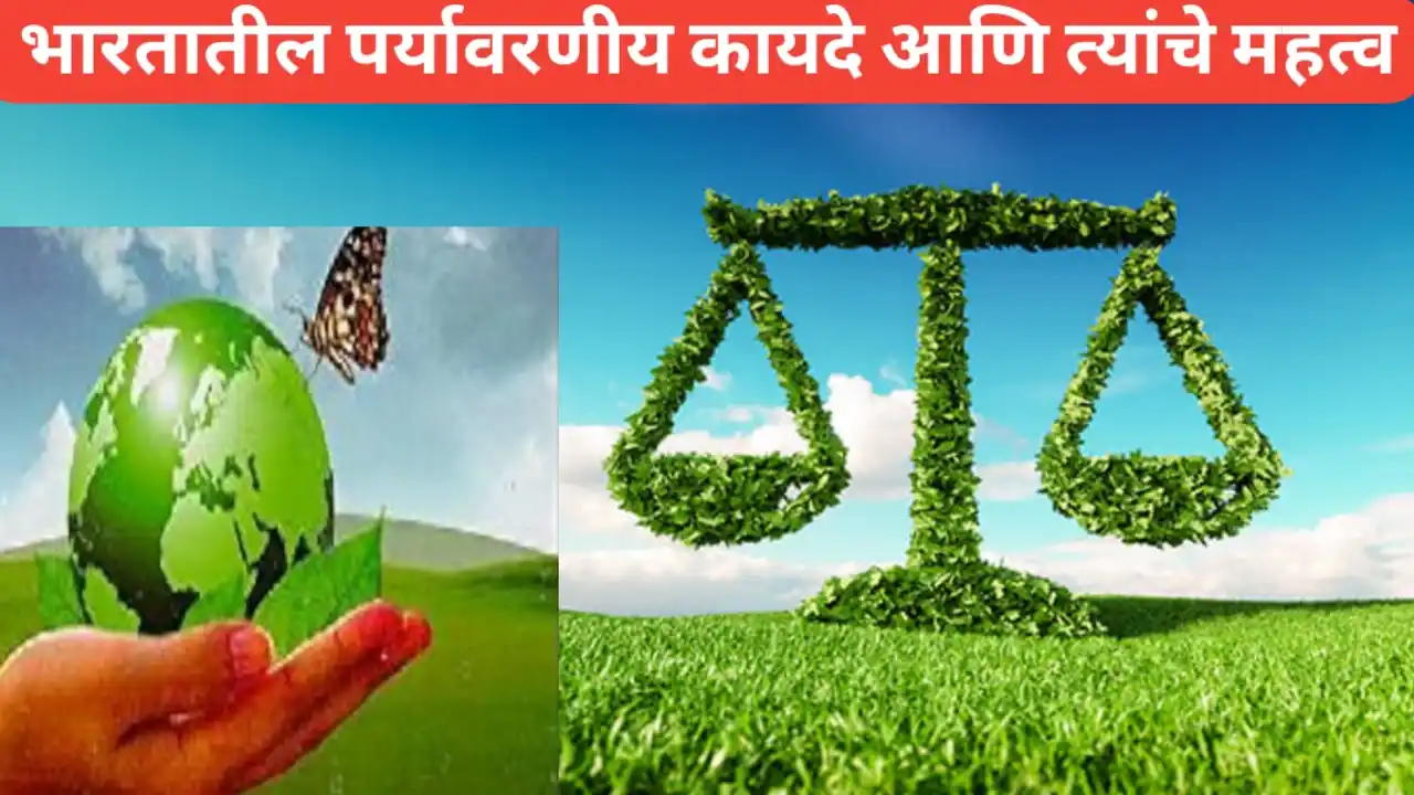 भारतातील पर्यावरणीय कायदे आणि महत्त्व; सर्वच कायद्याविषयी माहिती