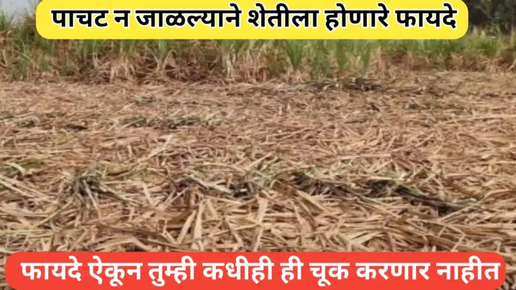 पाचट न जाळल्याने शेतीला होणारे फायदे