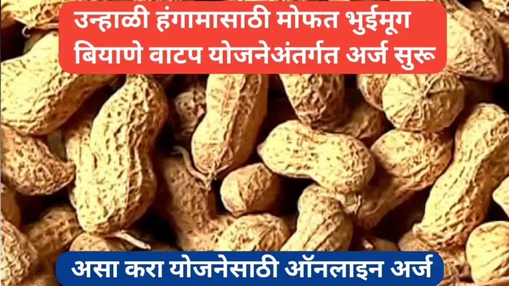 उन्हाळी हंगामासाठी मोफत भुईमूग बियाणे वाटप योजना अर्ज प्रक्रिया सुरू