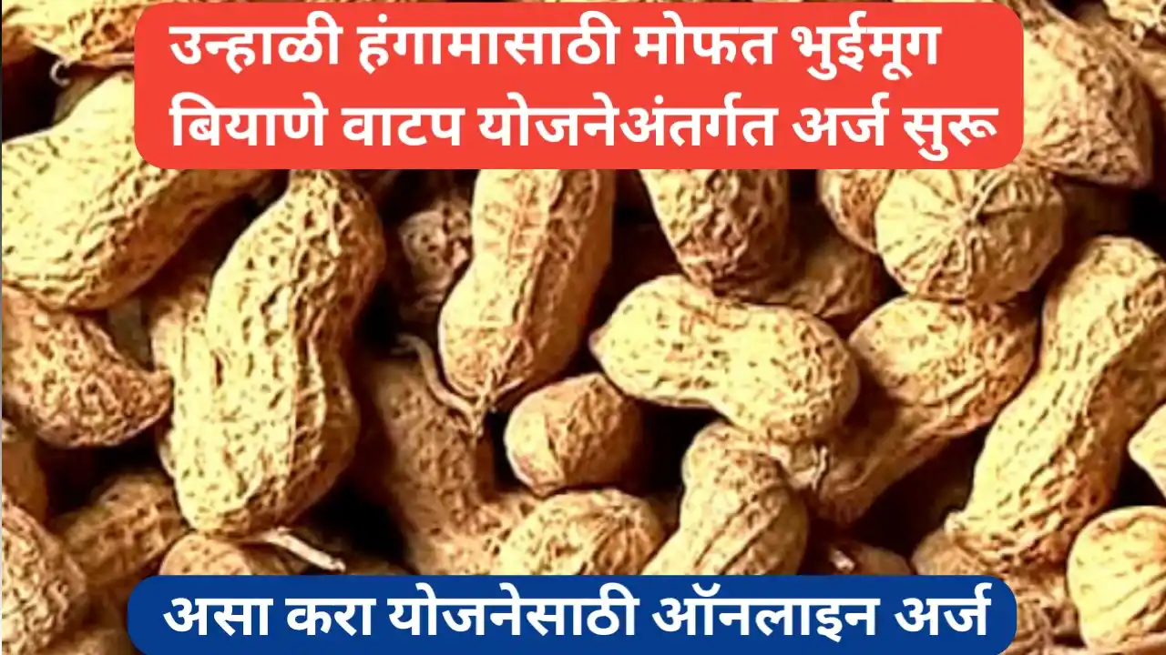 उन्हाळी हंगामासाठी मोफत भुईमूग बियाणे वाटप योजना अर्ज प्रक्रिया सुरू