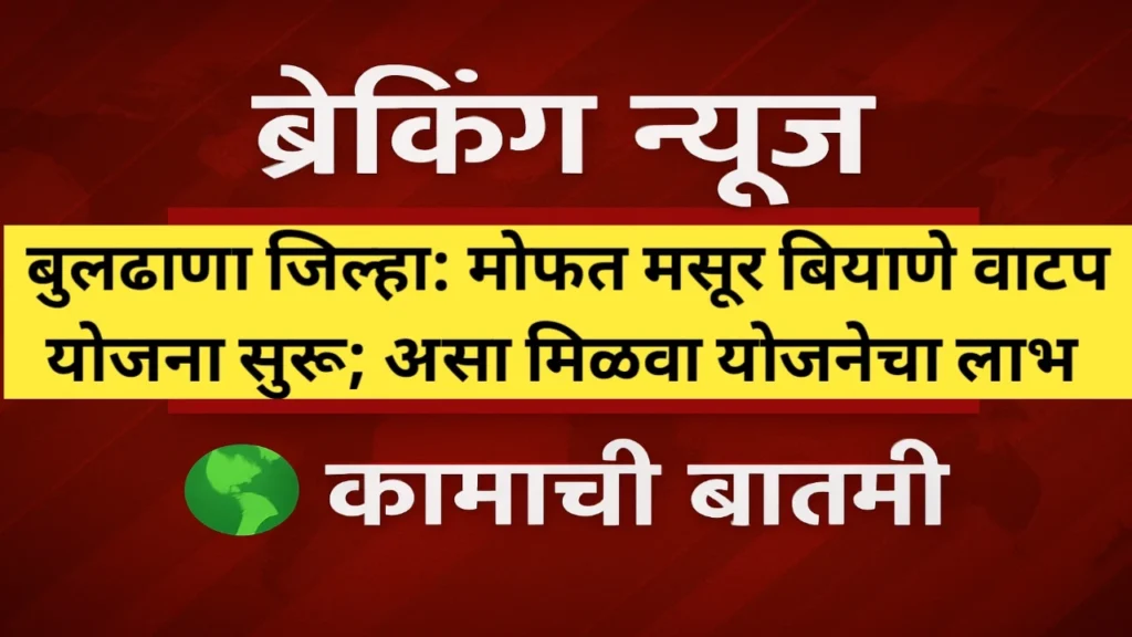 मोफत मसूर बियाणे वाटप योजना; बुलढाणा जिल्ह्यातील शेतकऱ्यांसाठी सुवर्णसंधी