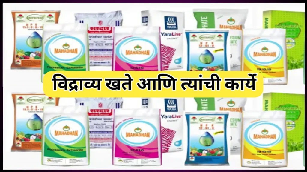 आधुनिक शेतीतील विद्राव्य खते आणि त्यांची कार्ये जाणून घ्या