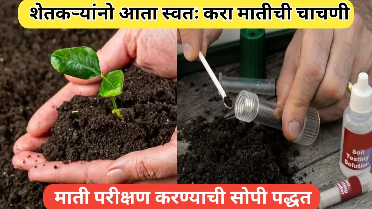 मातीची चाचणी घरी कशी करावी