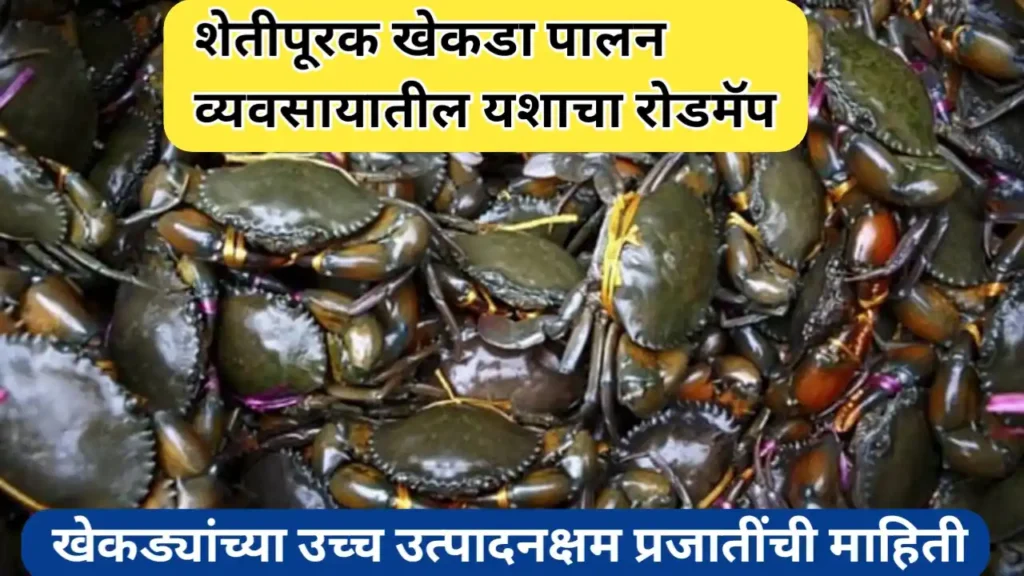 शेतीपूरक खेकडा पालन व्यवसायातील यशाचा रोडमॅप