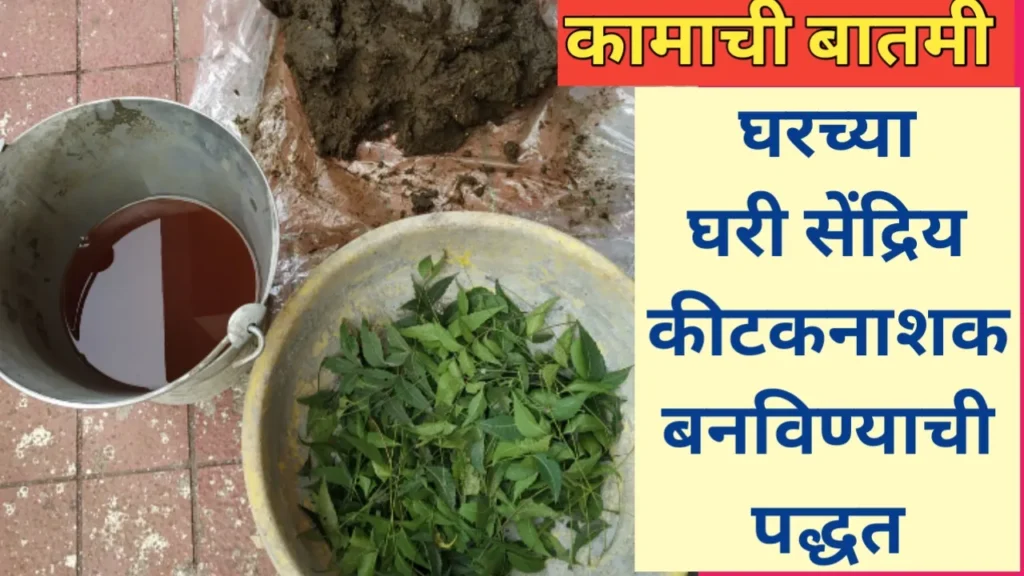 सेंद्रिय कीटकनाशक तयार करण्याची घरगुती पद्धत