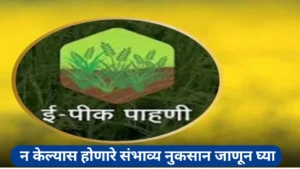 ई-पीक पाहणीसाठी 24 जानेवारी पर्यंत मुदतवाढ; अशी करा स्वतः मोबाइलवरून नोंद