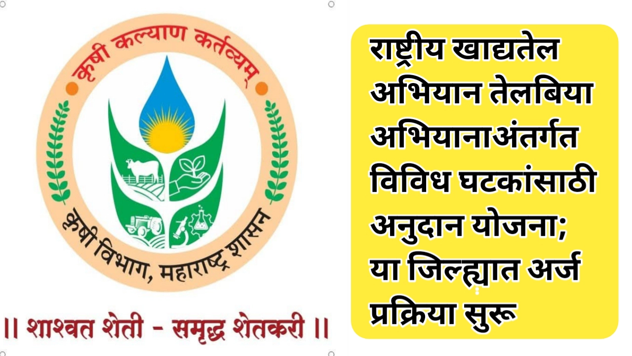राष्ट्रीय खाद्यतेल अभियान तेलबिया अभियानाअंतर्गत विविध घटकांसाठी अनुदान योजना; अर्ज करण्यास सुरुवात