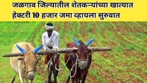 जळगाव जिल्यातील शेतकऱ्यांच्या खात्यात हेक्टरी 10 हजार जमा व्हायला सुरुवात