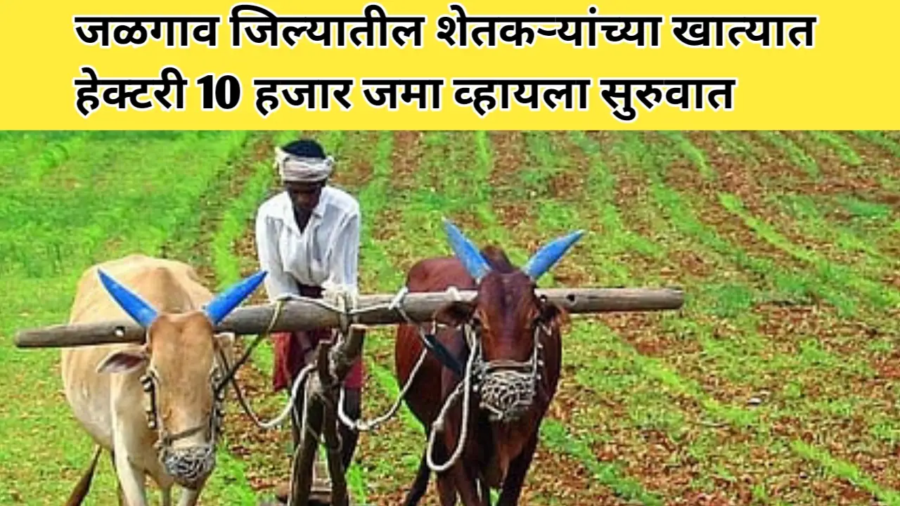 जळगाव जिल्यातील शेतकऱ्यांच्या खात्यात हेक्टरी 10 हजार जमा व्हायला सुरुवात
