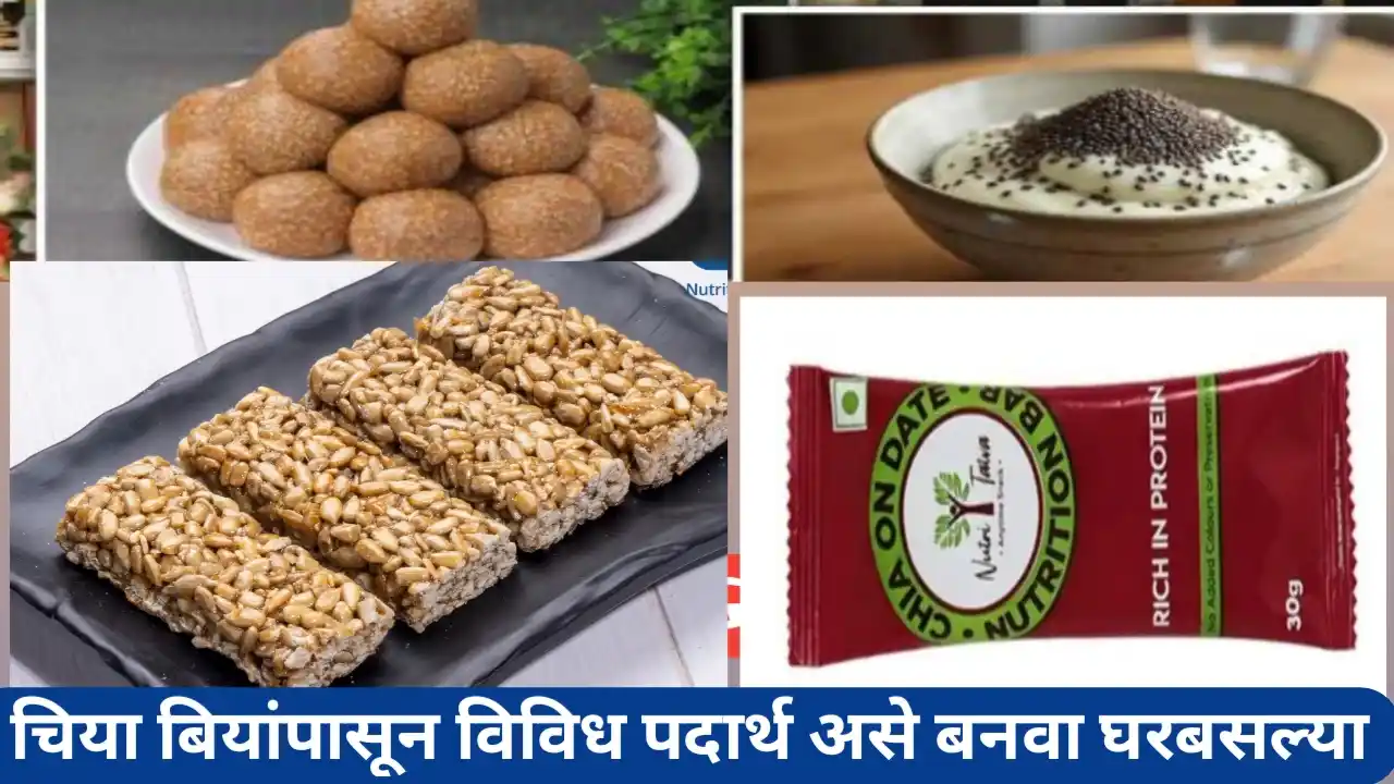 चिया बियाणे प्रक्रिया उद्योग; चिया बियांपासून असे बनवा विविध पदार्थ