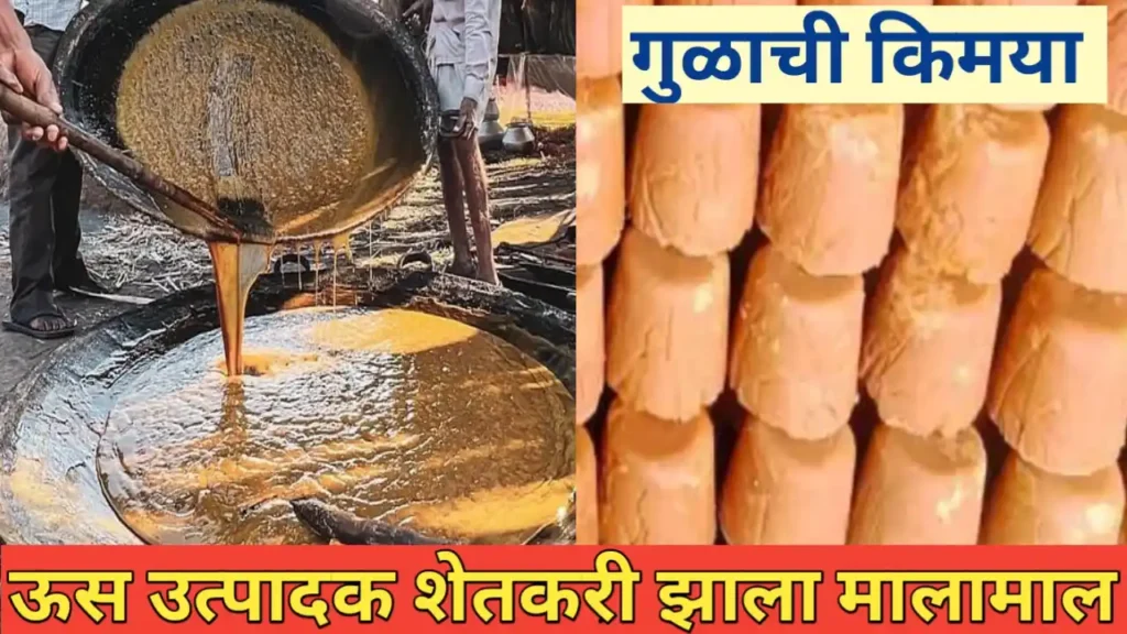 यशस्वी शेतकरी: ऊस उत्पादक शेतकरी गुळ प्रक्रिया व्यवसायातून लखपती