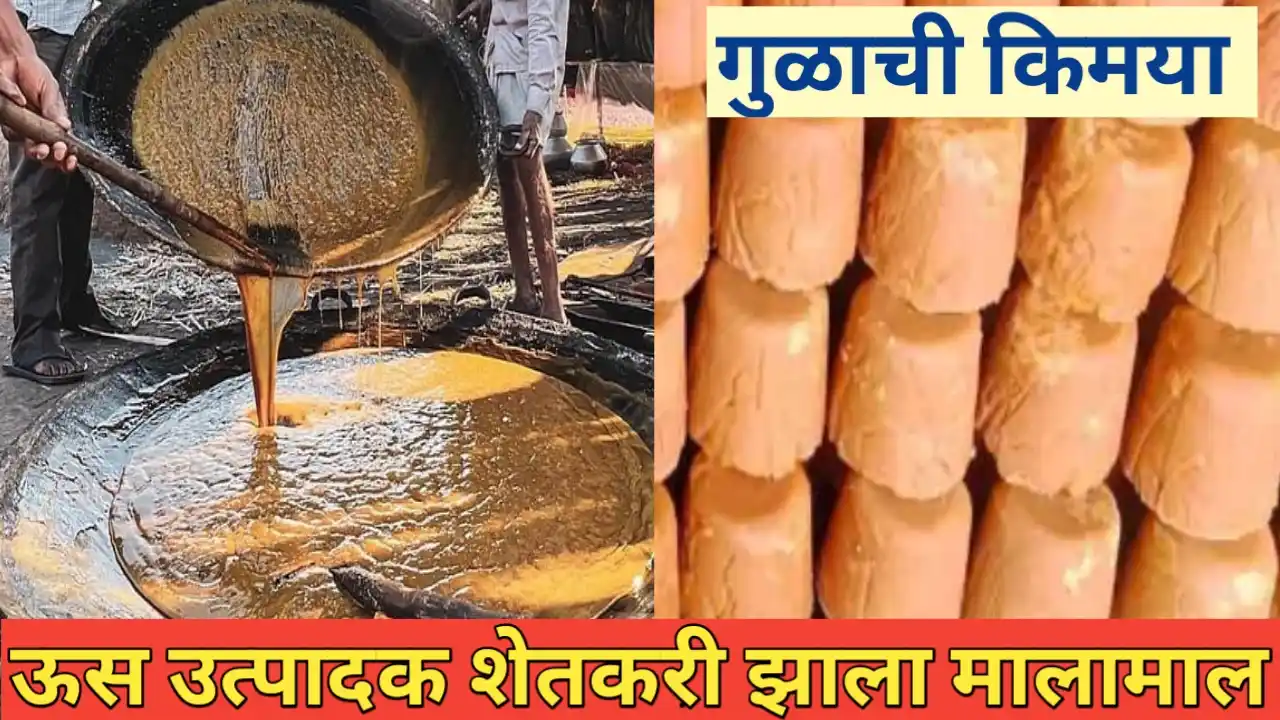 यशस्वी शेतकरी: ऊस उत्पादक शेतकरी गुळ प्रक्रिया व्यवसायातून लखपती